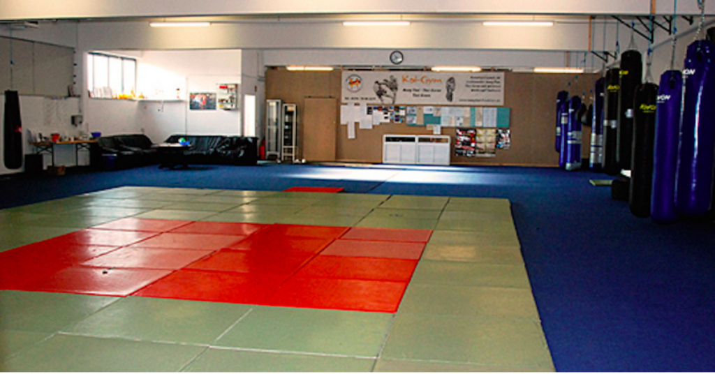 BIPoC Safer Spaces Frankfurt Koi-Gym