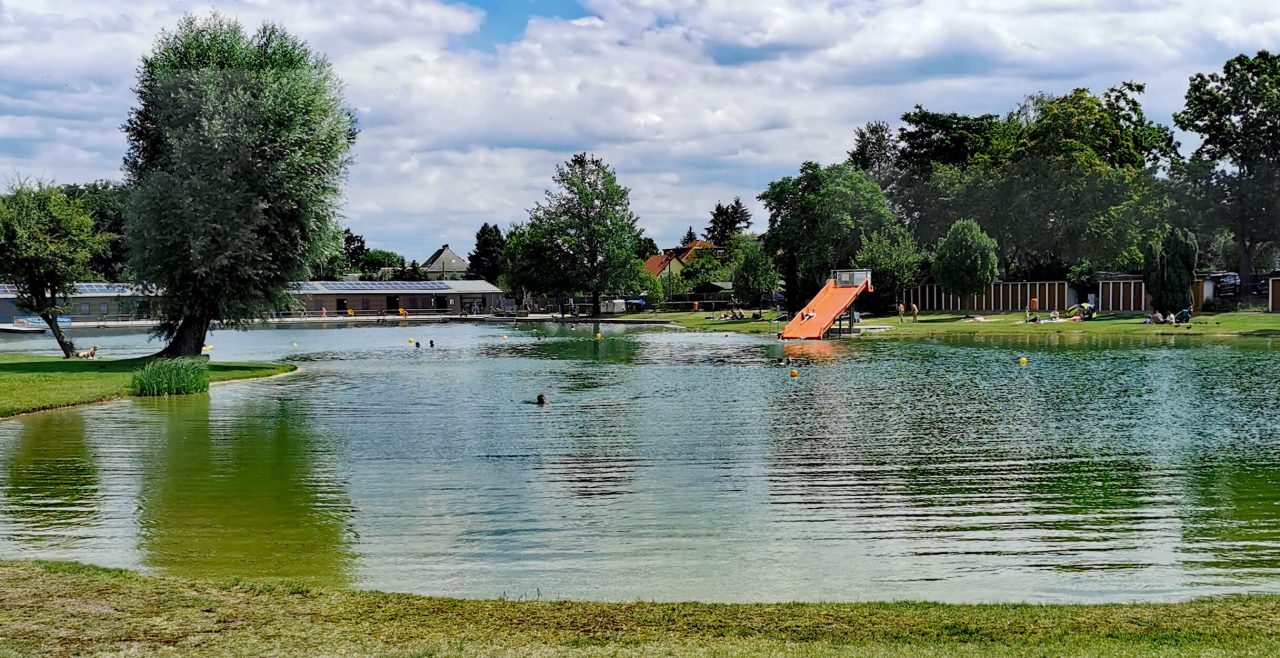 Bestes Freibad Dresden: Strandbad Wostra (FKK-Bad)