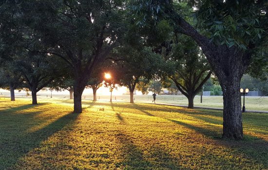 bootcamp workout in park