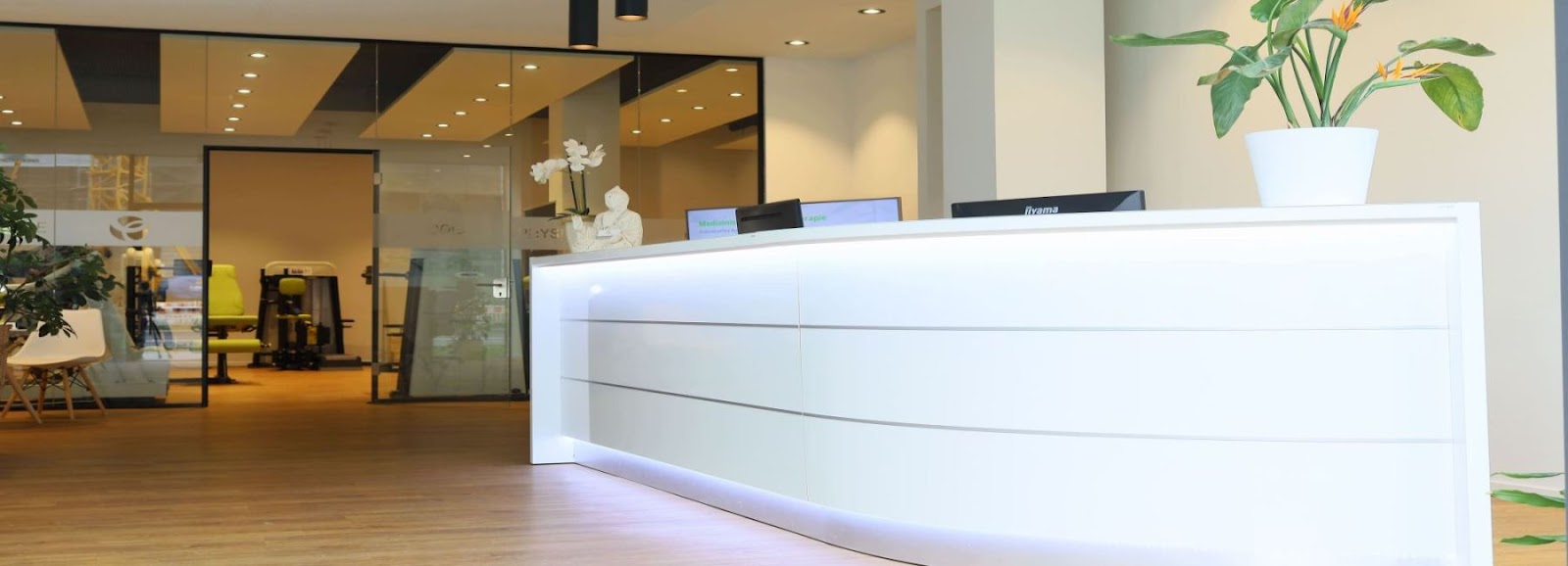 Bestes Fitnessstudio Heidelberg: PhysioCircle